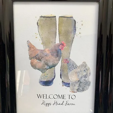 Grouse A Fabulous Farm Private Hot Tub Hotel