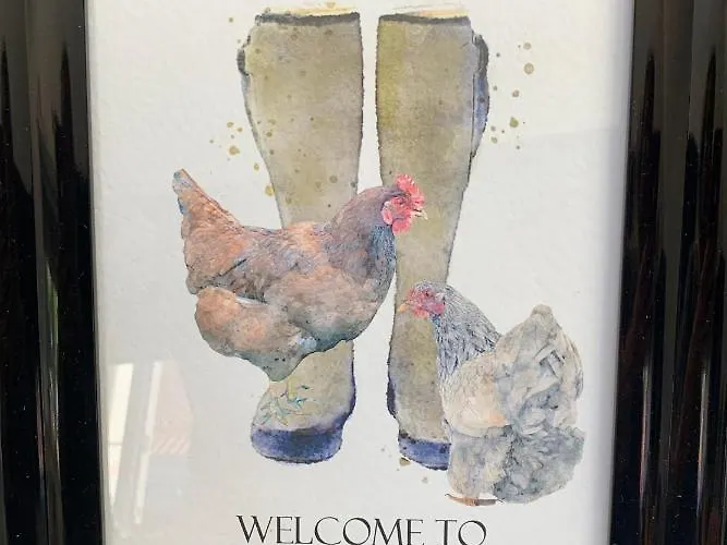 Grouse A Fabulous Farm Private Hot Tub Hotel